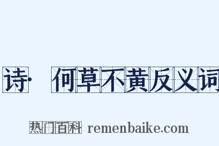 诗·何草不黄反义词是什么意思的图片